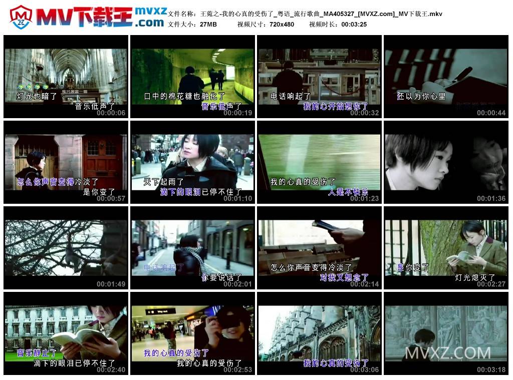 王菀之-我的心真的受伤了_粤语_流行歌曲_MA405327